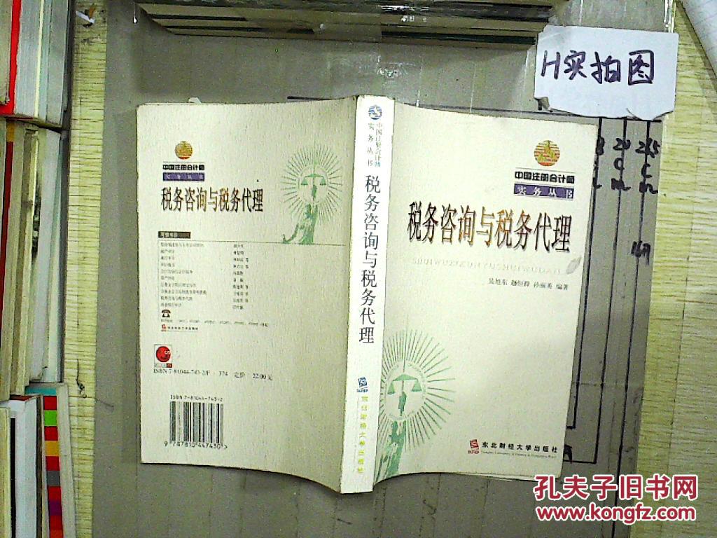 中国注册会计师实务丛书:税务咨询与税务代理